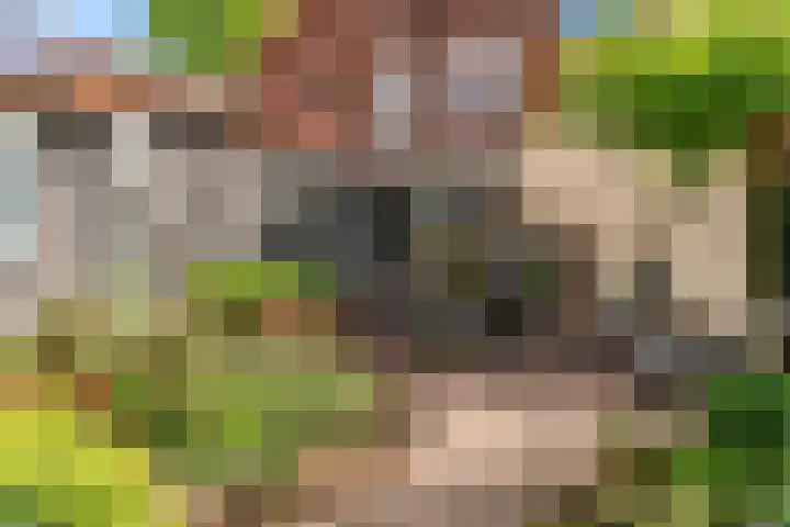 Europalaan 98 Renkum thumbnail 83