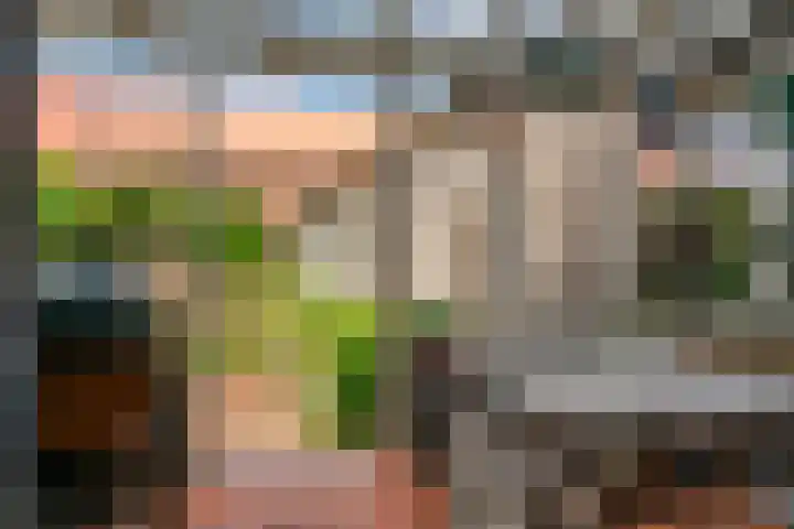 Europalaan 98 Renkum thumbnail 84