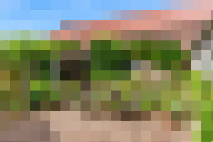 Europalaan 98 Renkum thumbnail 86