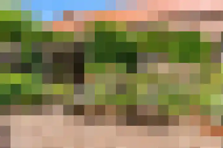 Europalaan 98 Renkum thumbnail 87