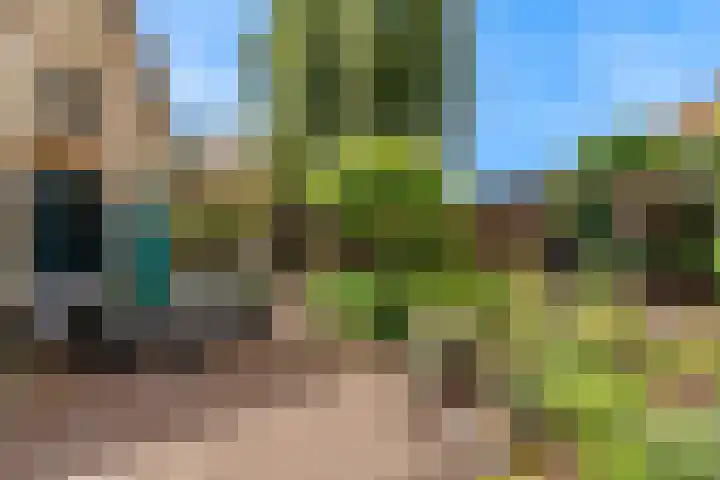 Europalaan 98 Renkum thumbnail 88