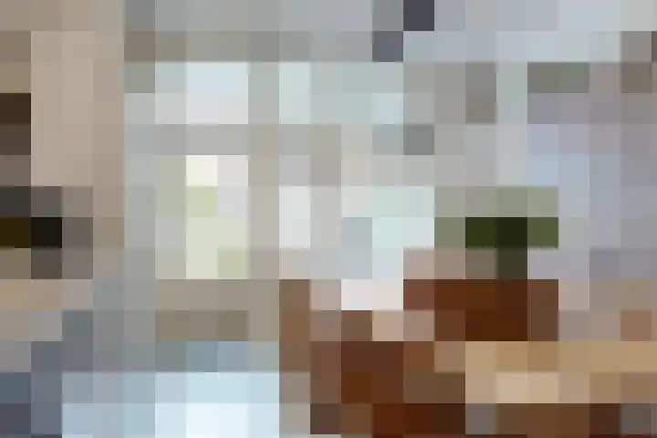 Europalaan 98 Renkum thumbnail 9