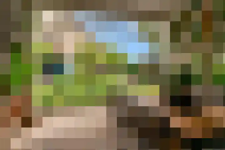 Europalaan 98 Renkum thumbnail 92