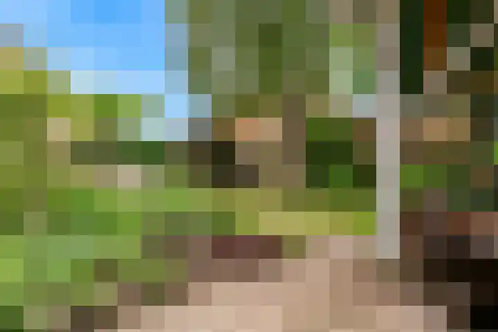 Europalaan 98 Renkum thumbnail 93