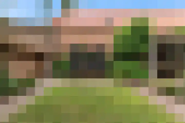 Europalaan 98 Renkum thumbnail 97