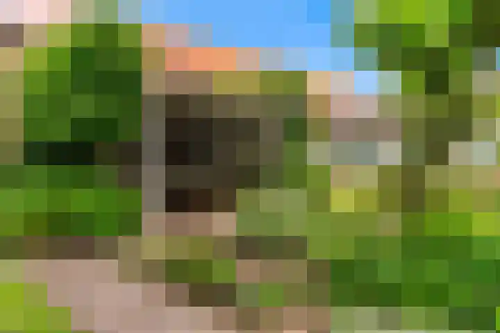 Europalaan 98 Renkum thumbnail 98