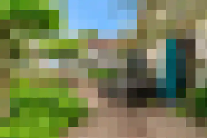 Europalaan 98 Renkum thumbnail 99