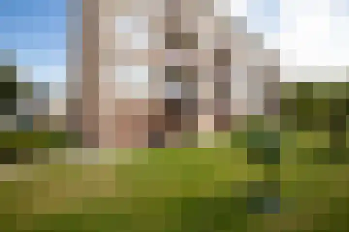Europalaan 99 Winterswijk thumbnail 34