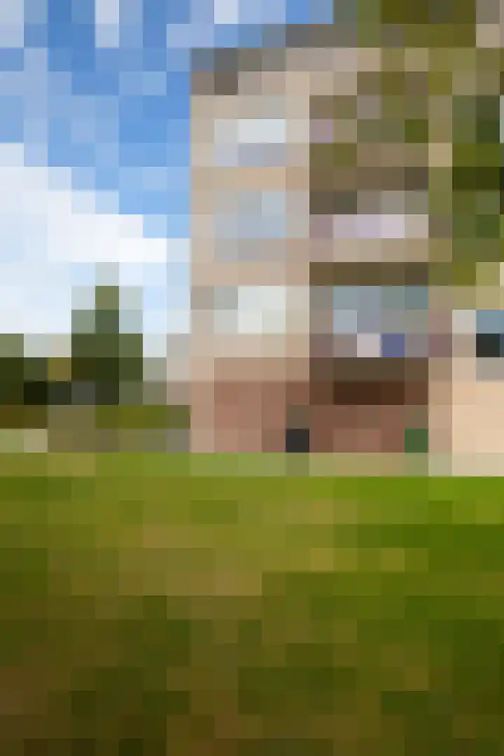 Europalaan 99 Winterswijk thumbnail 35