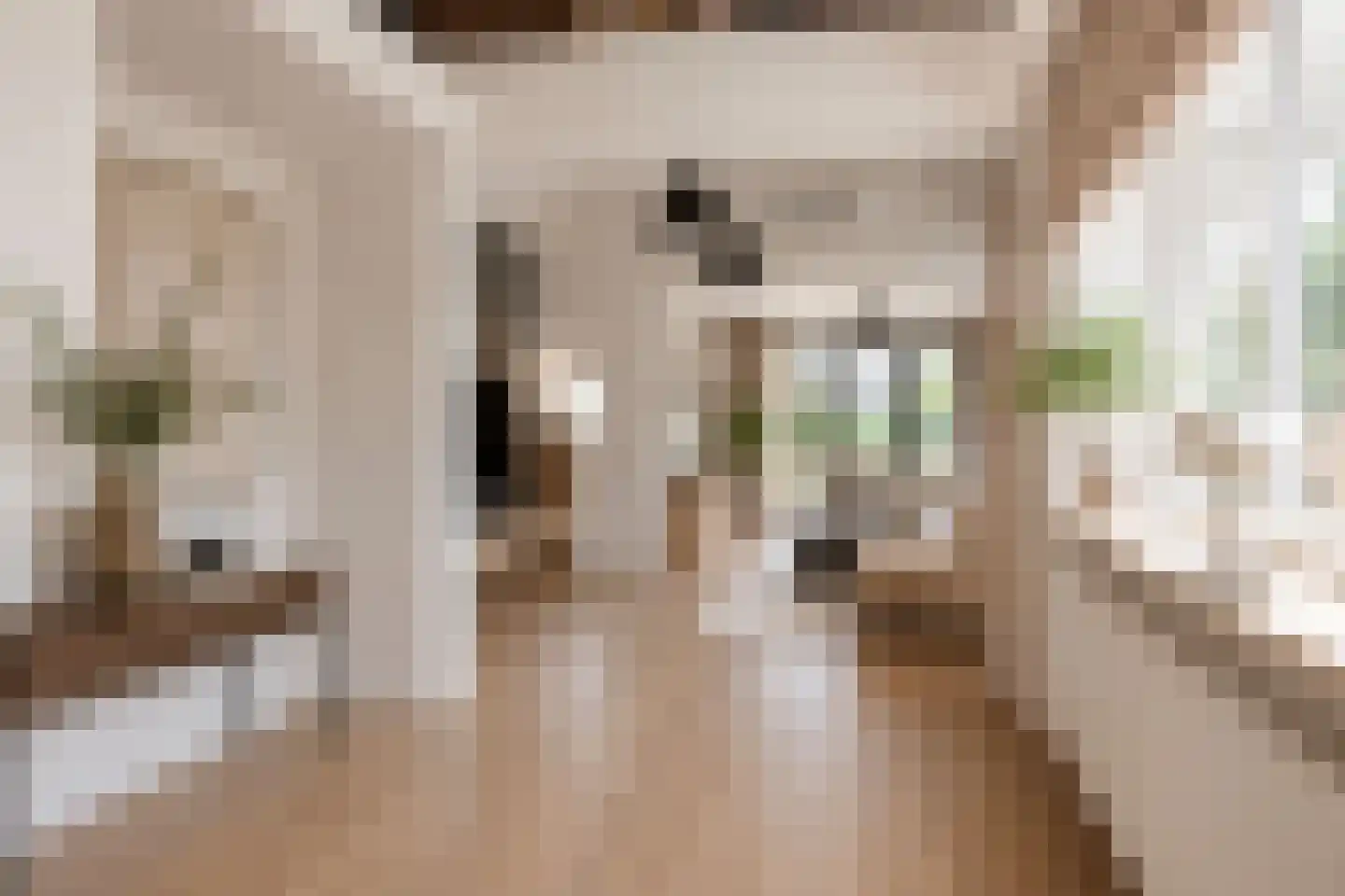 Europalaan-Centrum 16 Herkenbosch thumbnail 15
