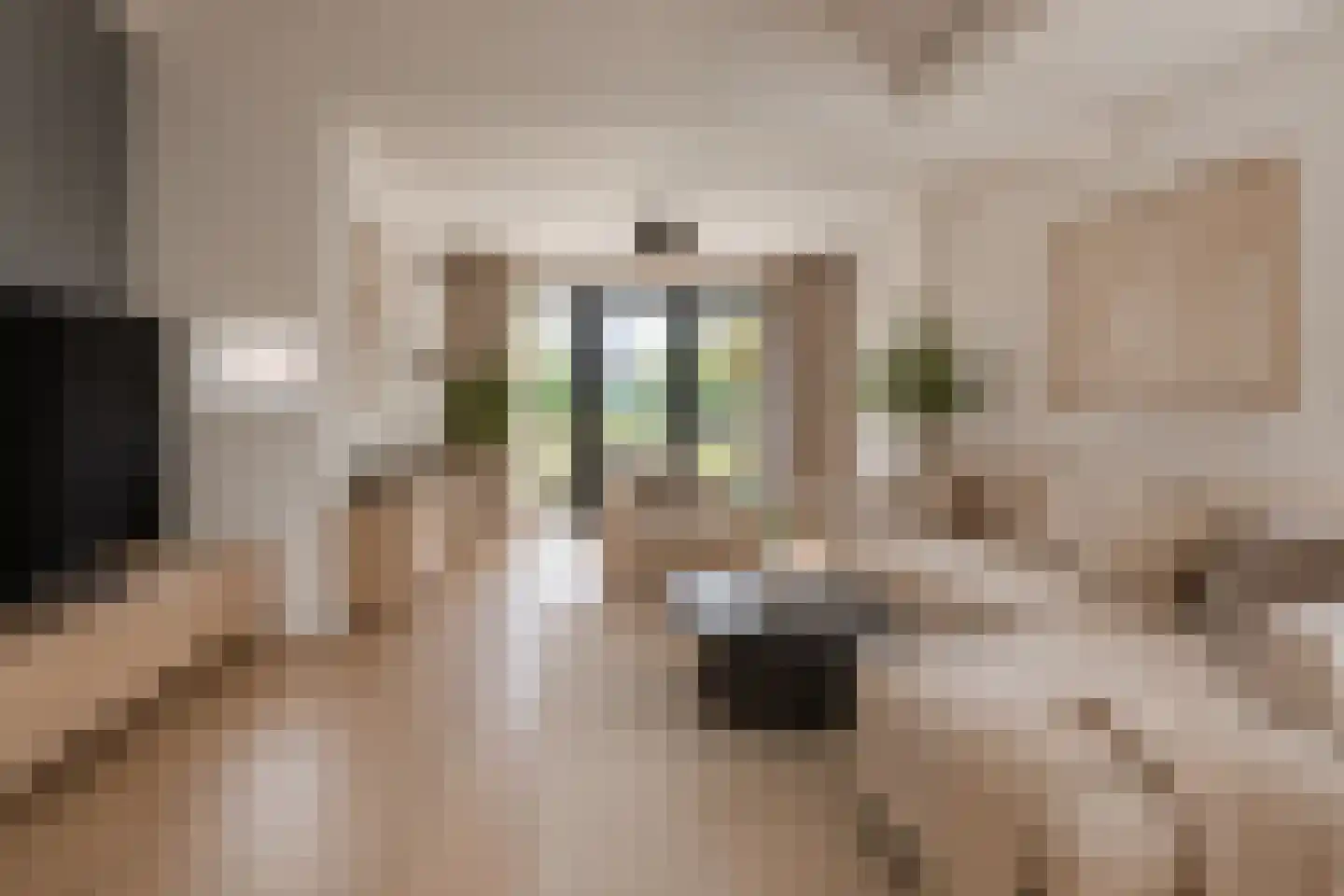 Europalaan-Centrum 16 Herkenbosch thumbnail 16