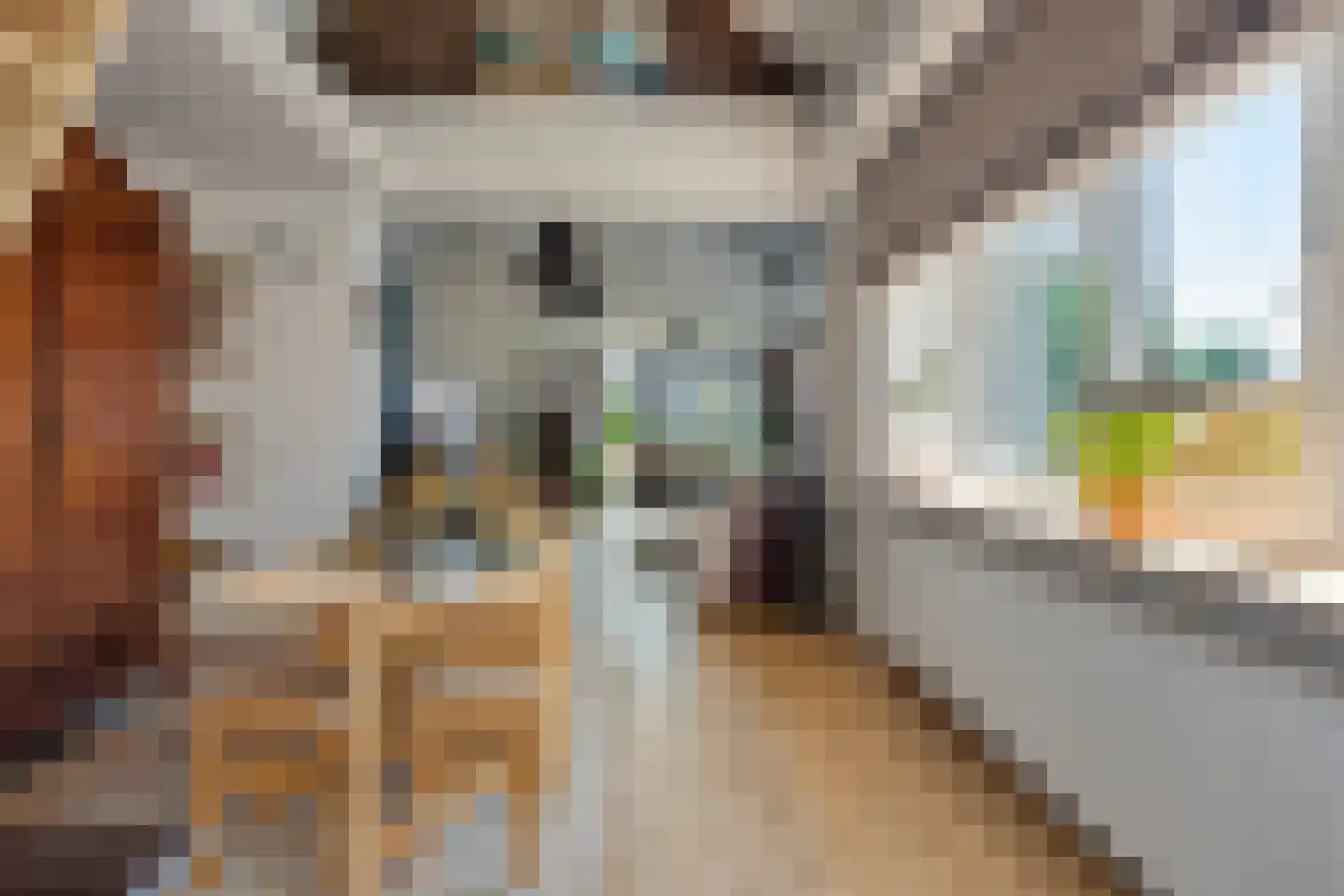 Europalaan-Centrum 16 Herkenbosch thumbnail 19
