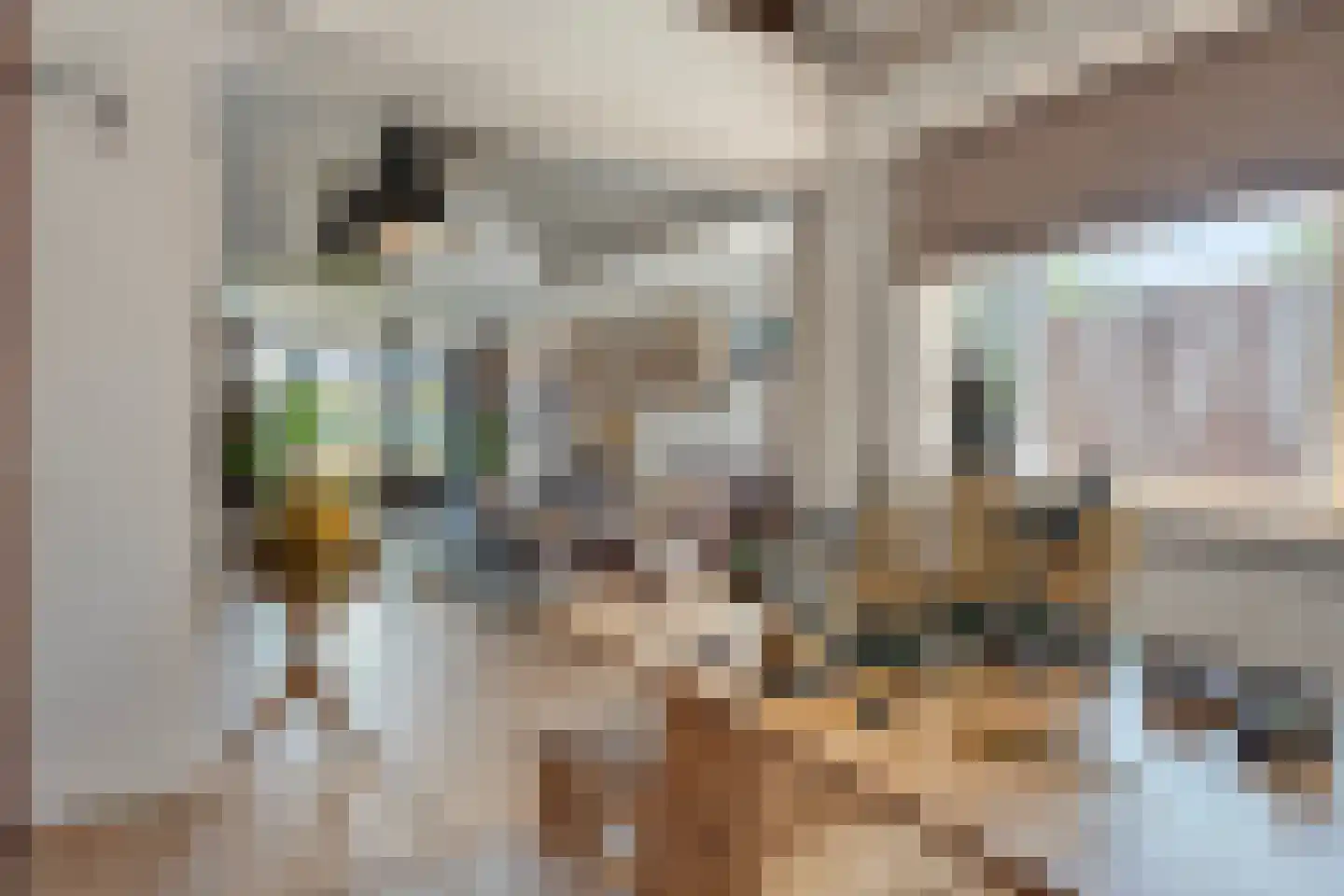 Europalaan-Centrum 16 Herkenbosch thumbnail 20