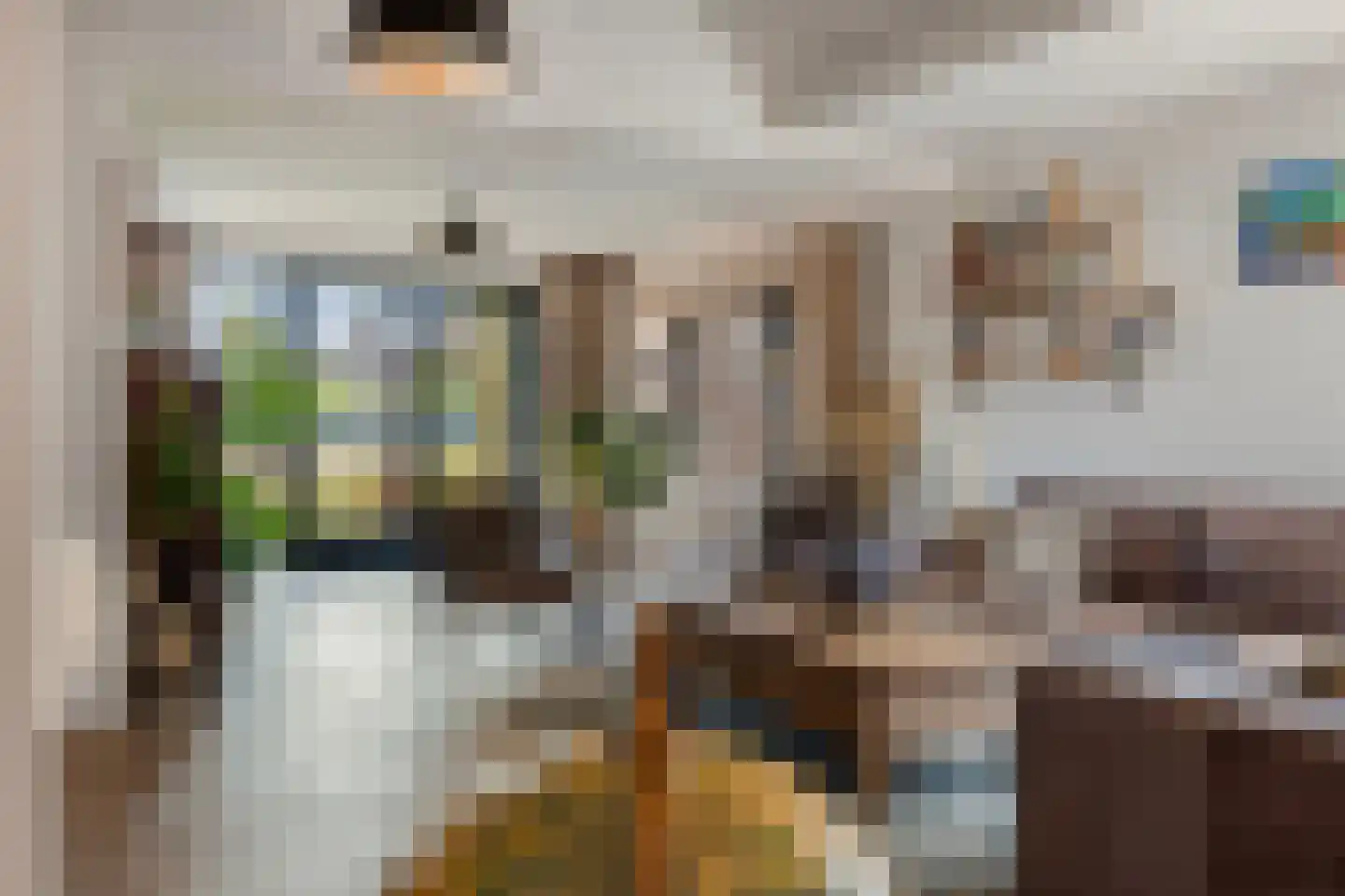 Europalaan-Centrum 16 Herkenbosch thumbnail 22