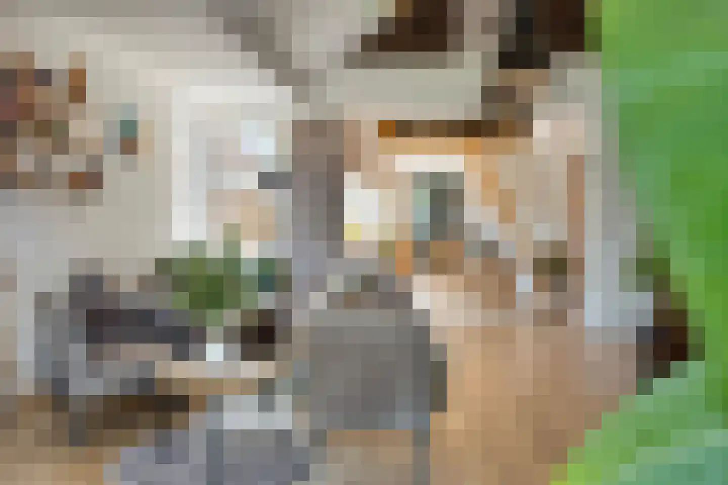 Europalaan-Centrum 16 Herkenbosch thumbnail 25
