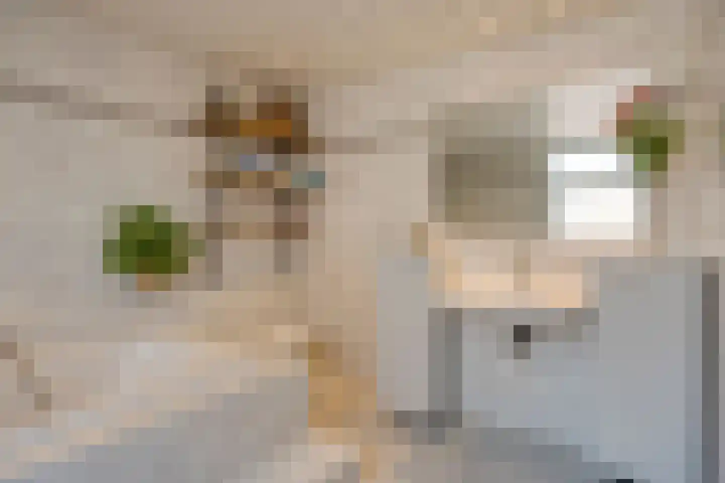 Europalaan-Centrum 16 Herkenbosch thumbnail 33