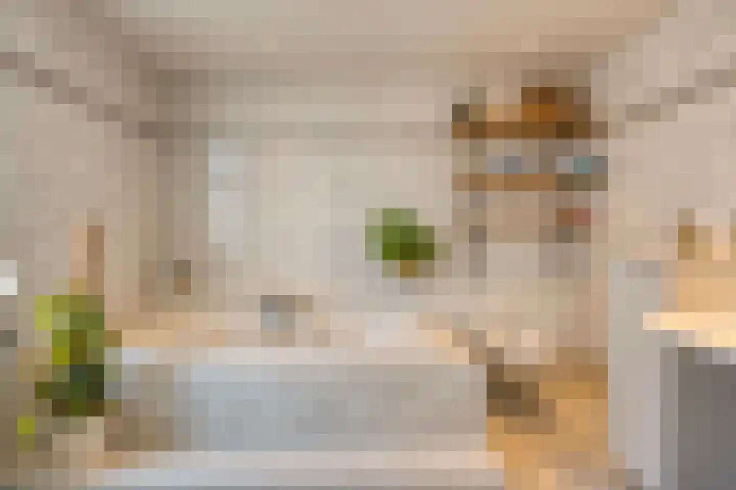 Europalaan-Centrum 16 Herkenbosch thumbnail 34