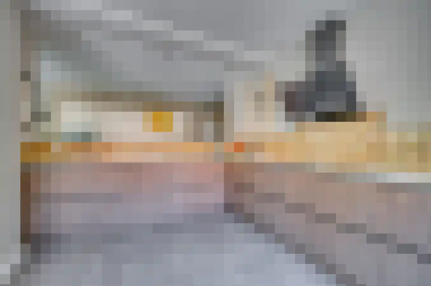 Europalaan-Centrum 31 Herkenbosch thumbnail 17