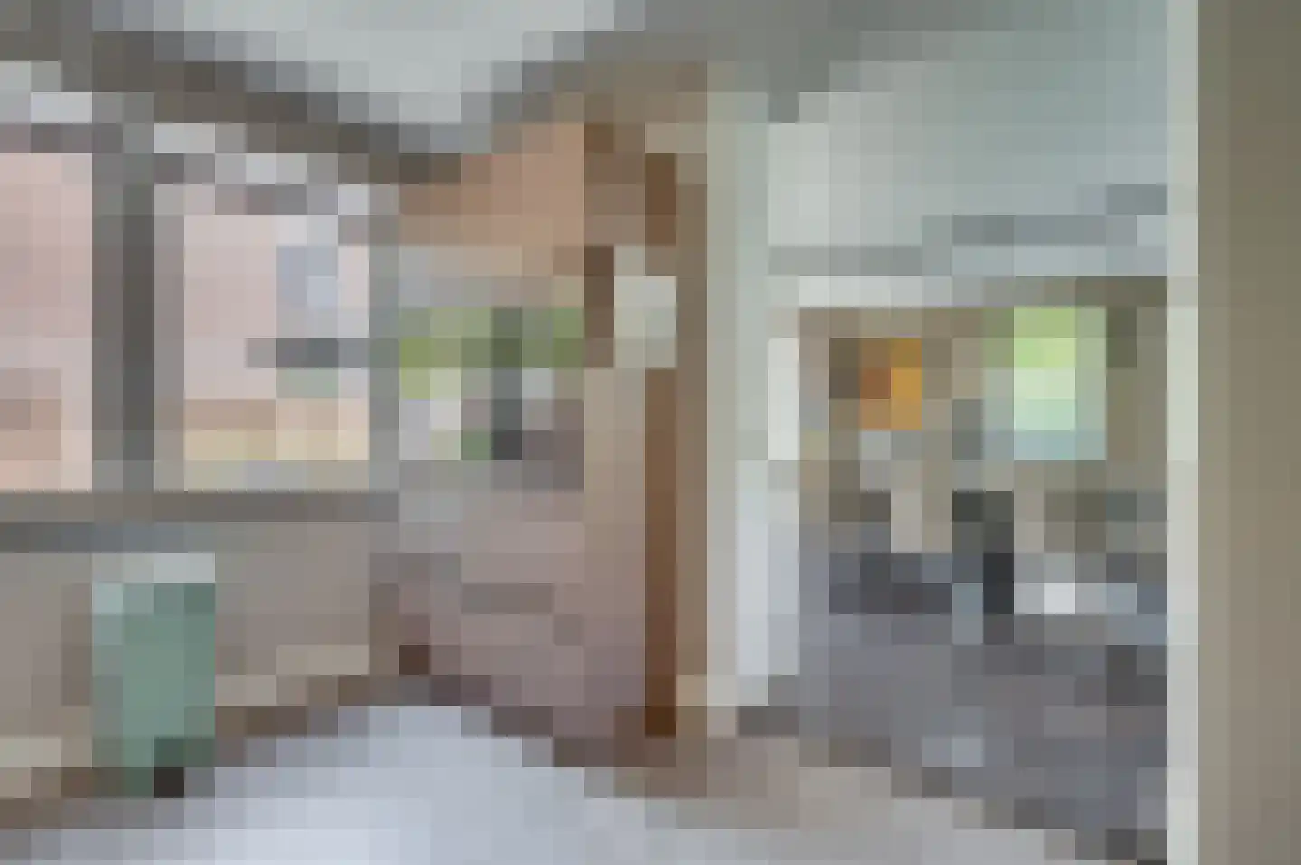 Europalaan-Centrum 31 Herkenbosch thumbnail 18