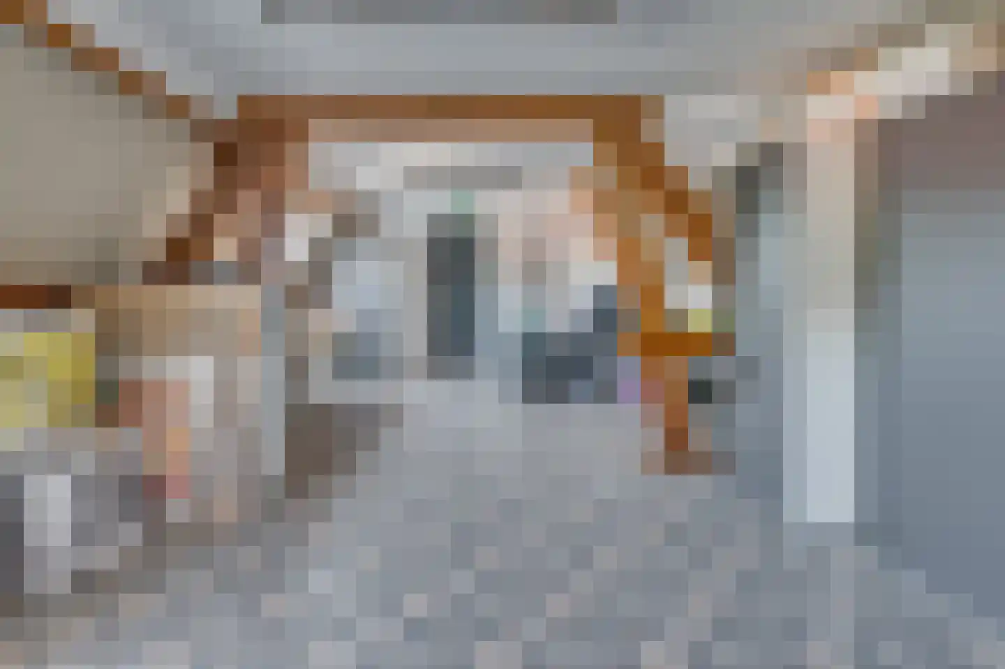 Europalaan-Centrum 31 Herkenbosch thumbnail 32