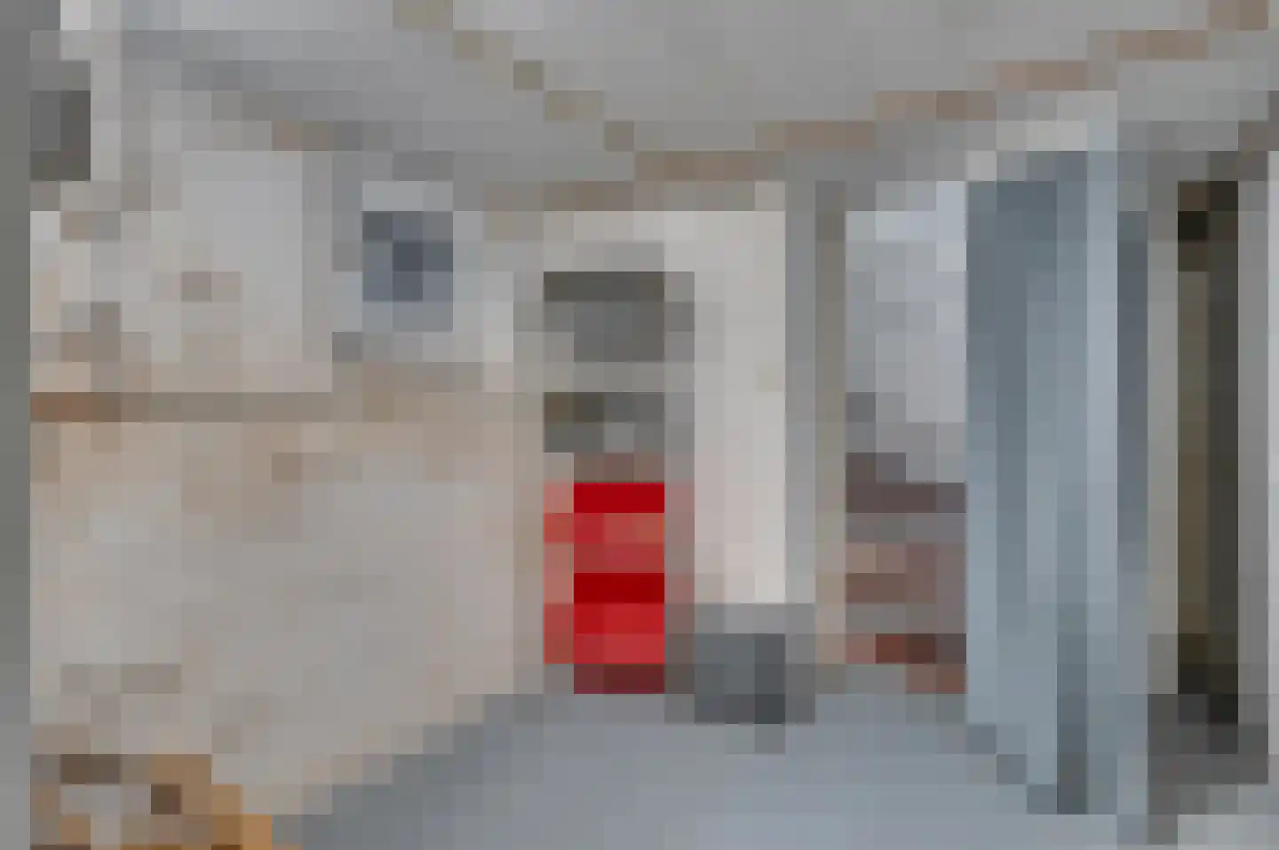 Europalaan-Centrum 31 Herkenbosch thumbnail 34