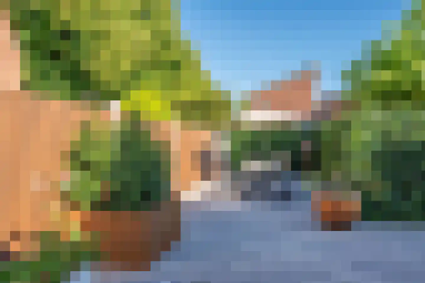 Europalaan-Centrum 31 Herkenbosch thumbnail 38