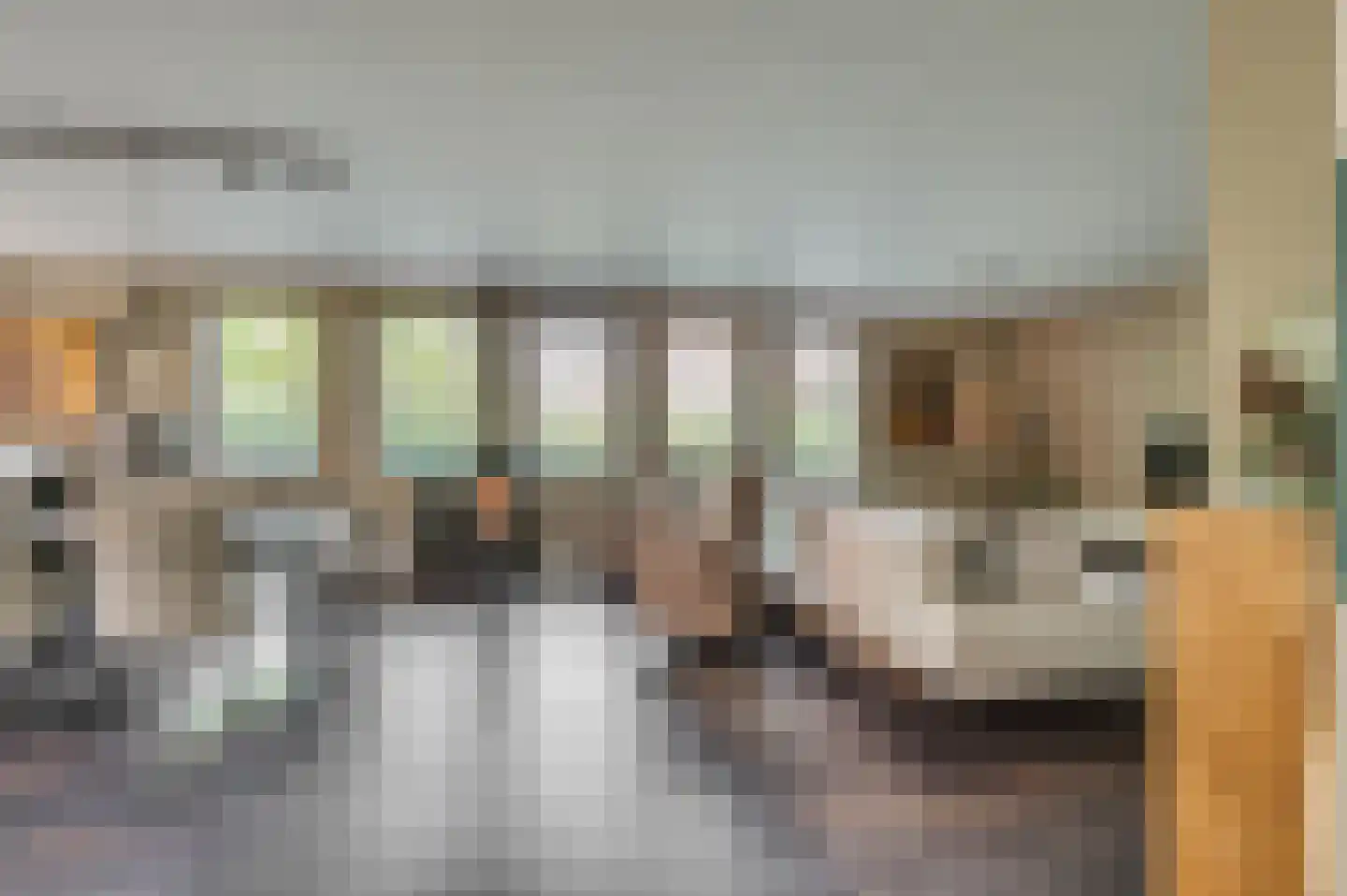 Europalaan-Centrum 31 Herkenbosch thumbnail 4