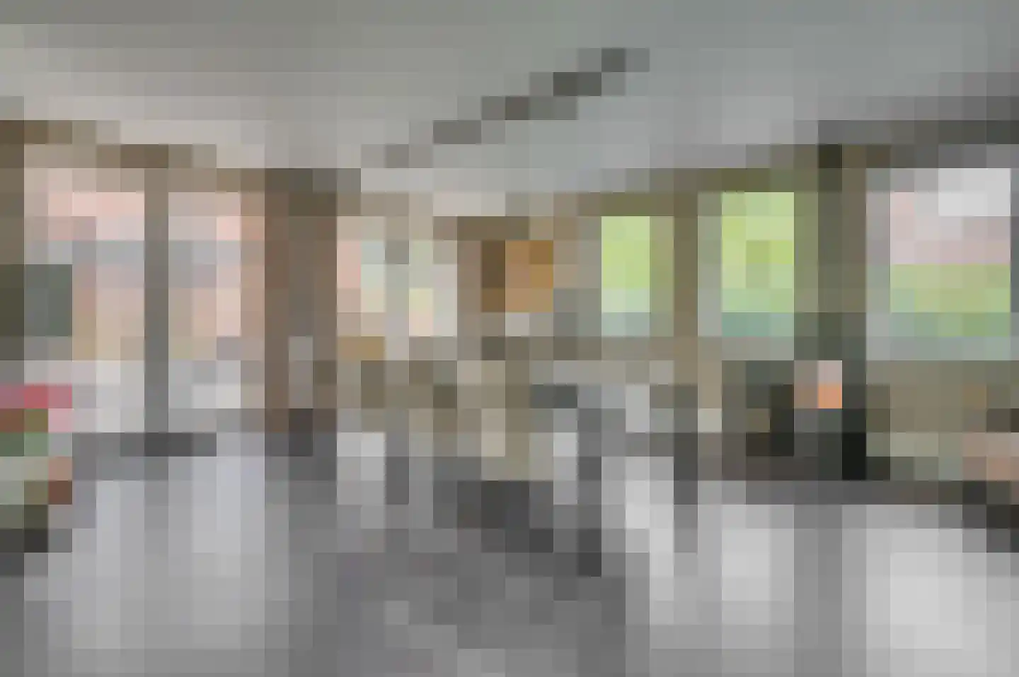 Europalaan-Centrum 31 Herkenbosch thumbnail 5