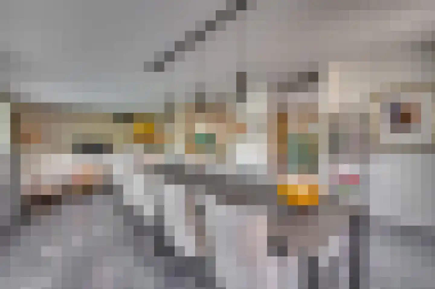 Europalaan-Centrum 31 Herkenbosch thumbnail 6