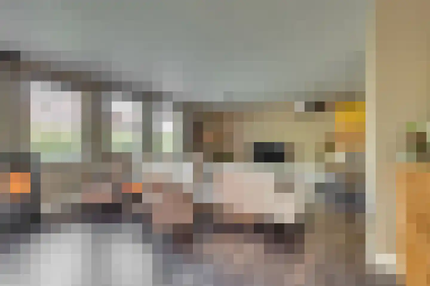Europalaan-Centrum 31 Herkenbosch thumbnail 7