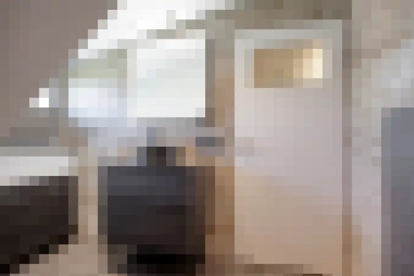 Europalaan-Noord 12 Budel thumbnail 30