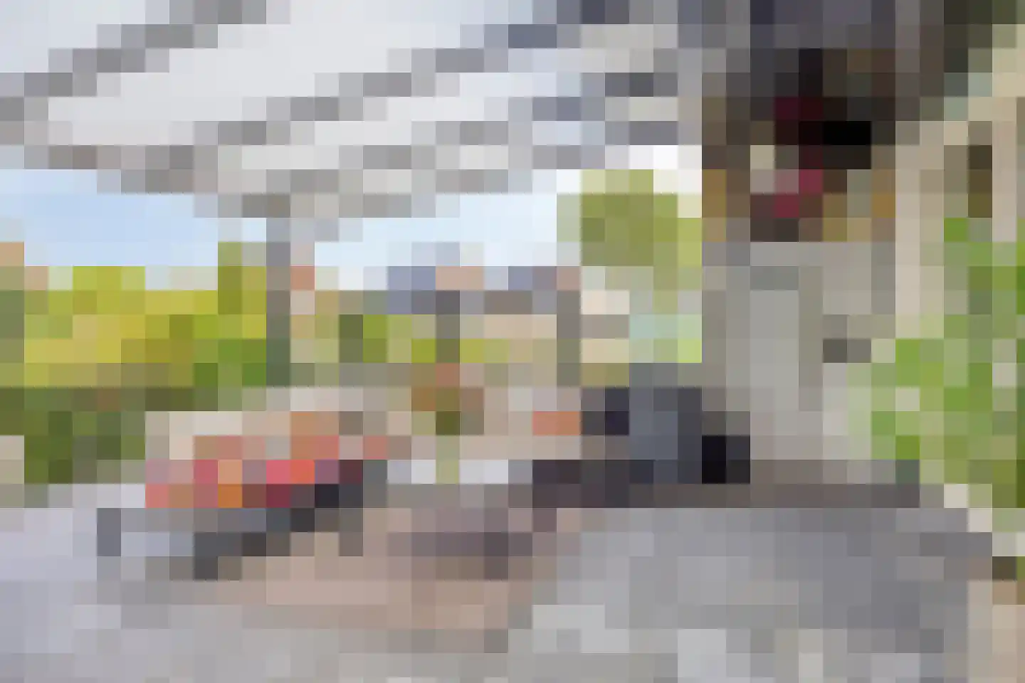 Europalaan-Noord 12 Budel thumbnail 34