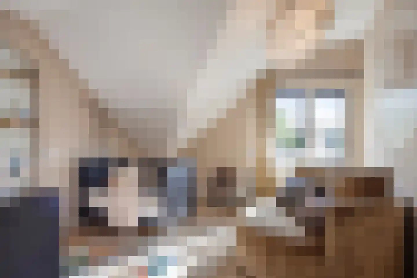 Europalaan-Noord 12 Budel thumbnail 55