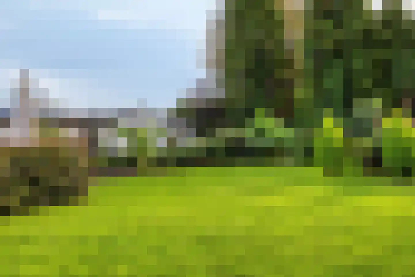 Europalaan-Noord 12 Budel thumbnail 63