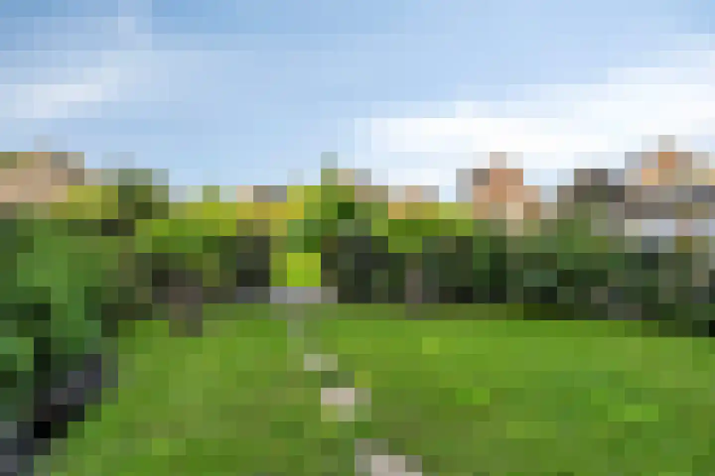 Europalaan-Noord 12 Budel thumbnail 66