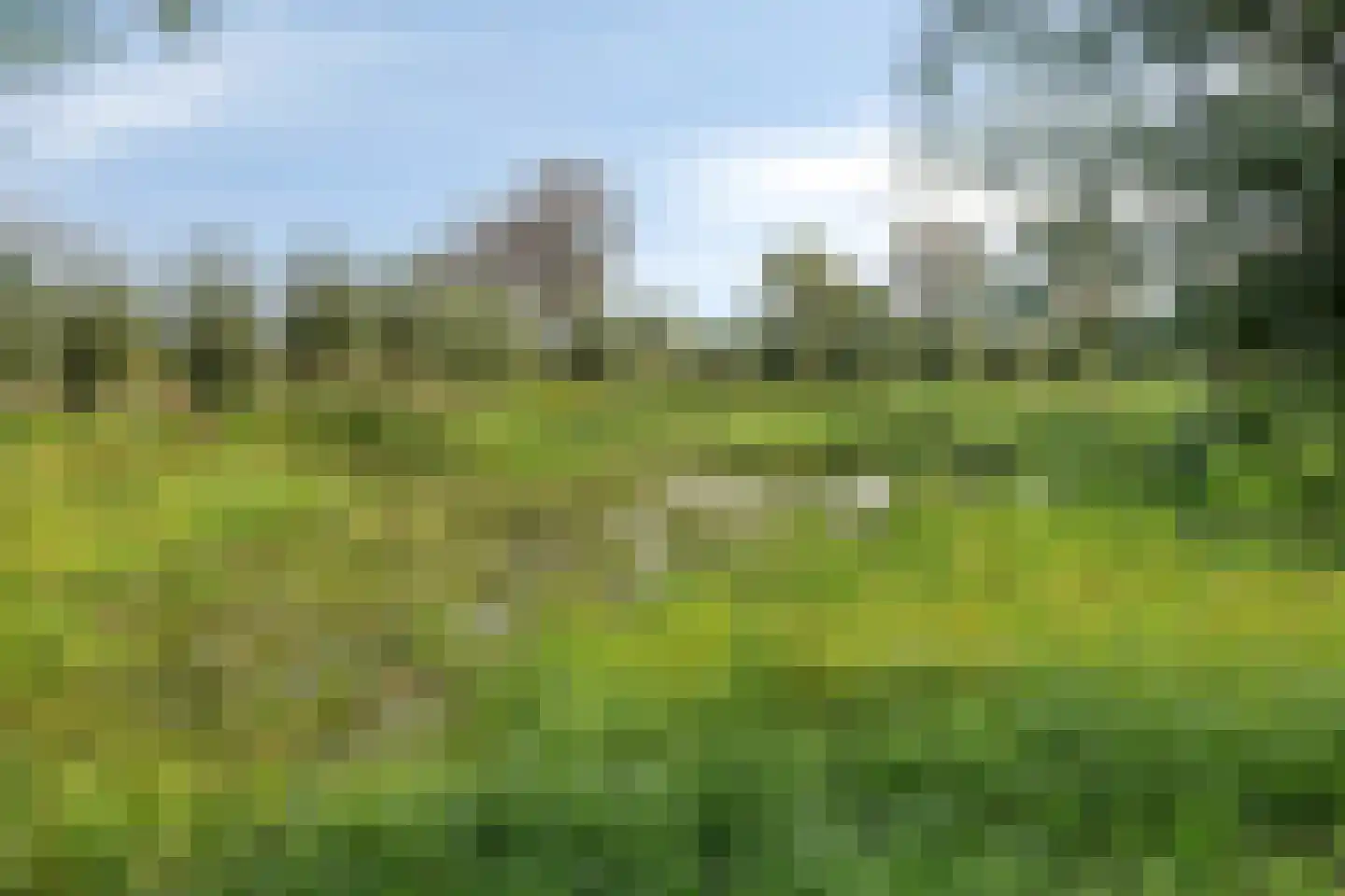 Europalaan-Noord 12 Budel thumbnail 80