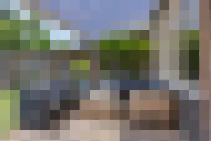 Europalaan-Noord 55 Budel thumbnail 20