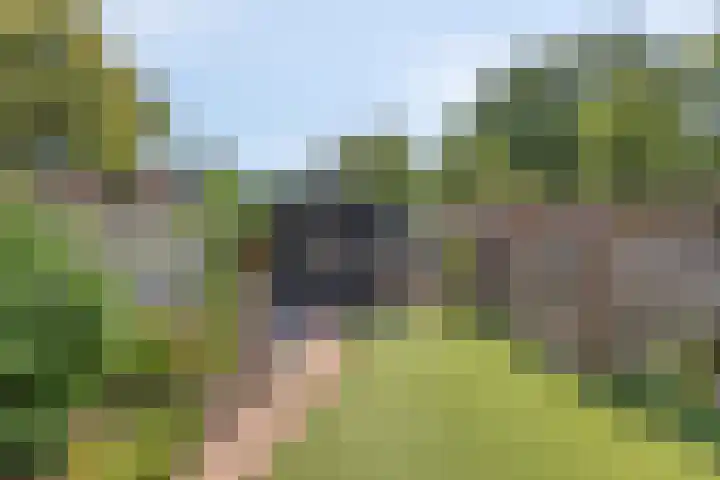 Europalaan-Noord 55 Budel thumbnail 21