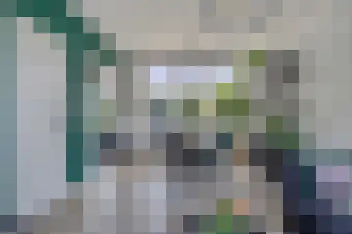 Europalaan-Noord 55 Budel thumbnail 4