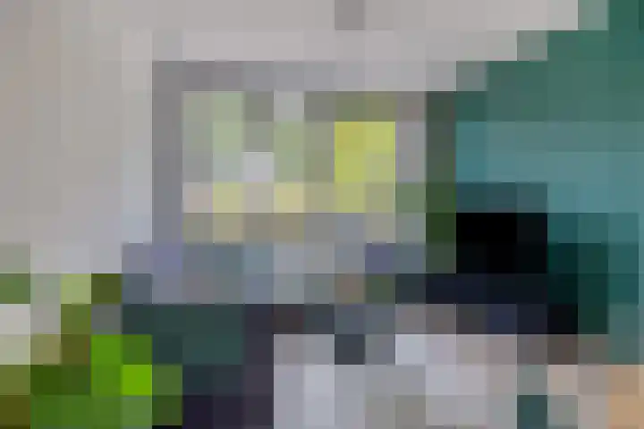 Europalaan-Noord 55 Budel thumbnail 5