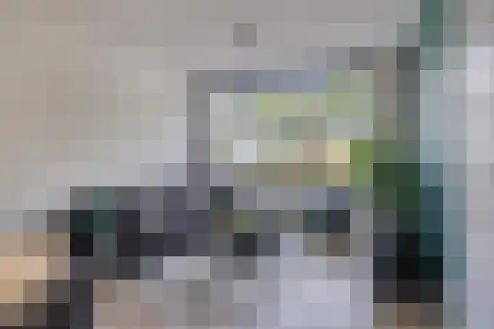 Europalaan-Noord 55 Budel thumbnail 6