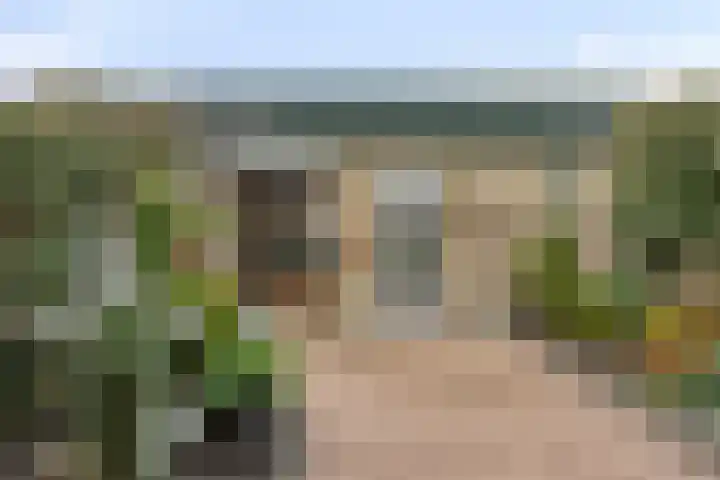 Europalaan-Noord 79 Budel thumbnail 38