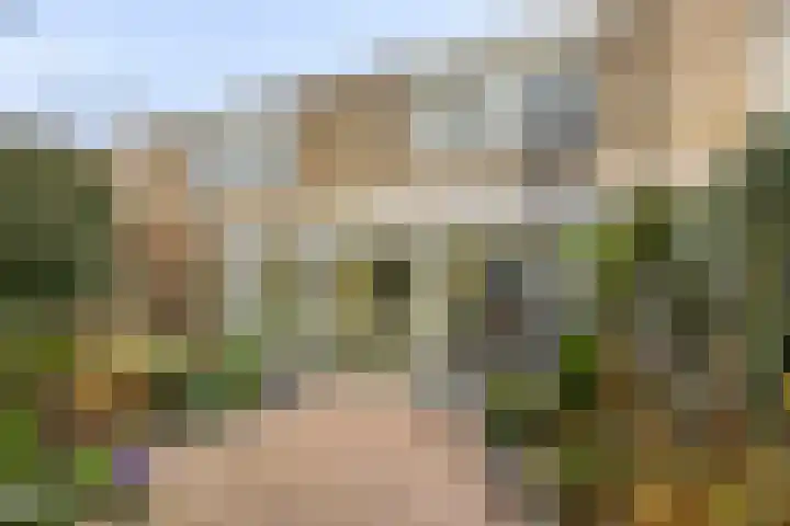 Europalaan-Noord 79 Budel thumbnail 39