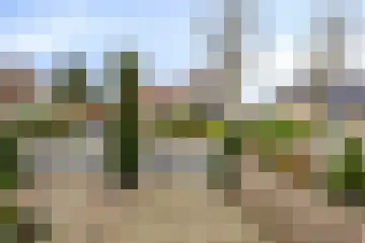 Europalaan-Noord 79 Budel thumbnail 4
