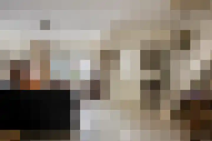 Europalaan-Noord 79 Budel thumbnail 7