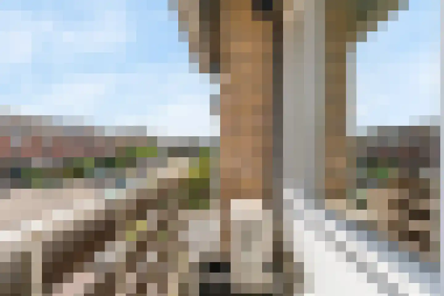 Europalaan-Oost 27 Herkenbosch thumbnail 40