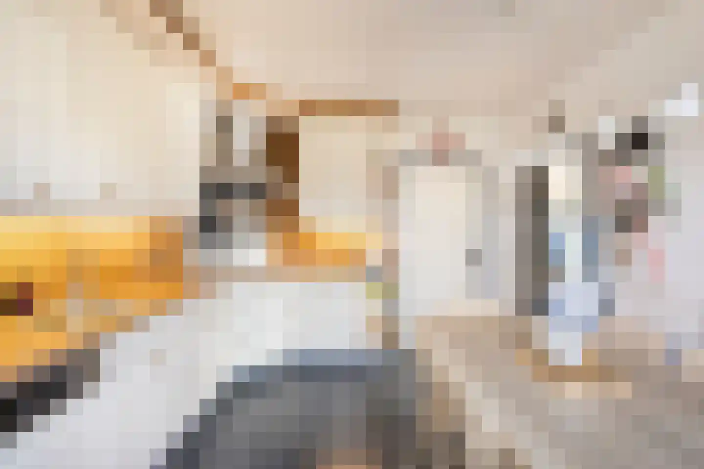 Europalaan-Oost 37 Herkenbosch thumbnail 12