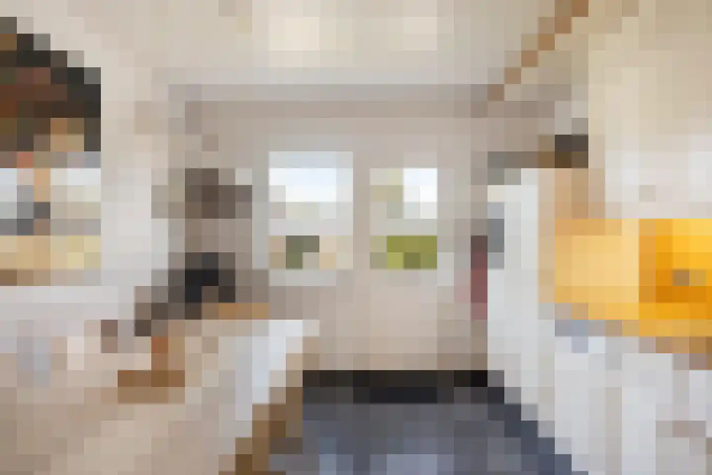 Europalaan-Oost 37 Herkenbosch thumbnail 13