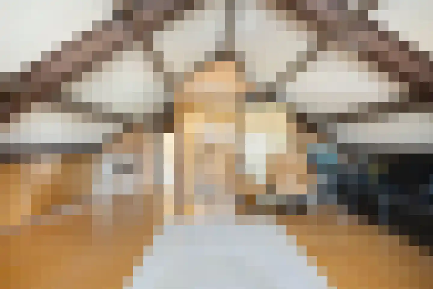 Europalaan-Oost 37 Herkenbosch thumbnail 36
