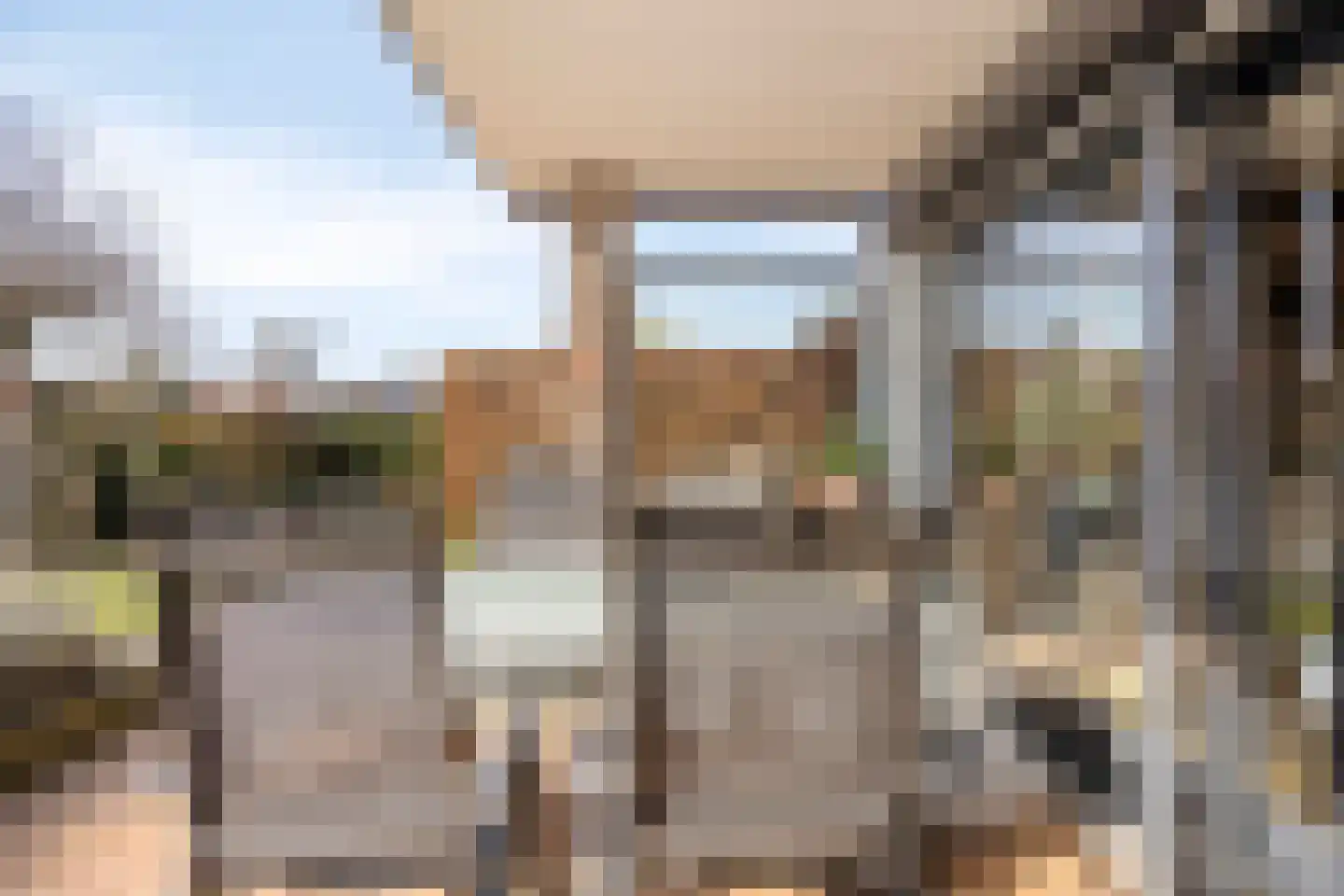 Europalaan-Oost 37 Herkenbosch thumbnail 42